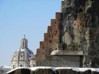 Il Grillo Ai Fori Romani